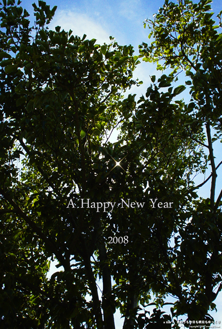 New Year Card Design 2008 - 2